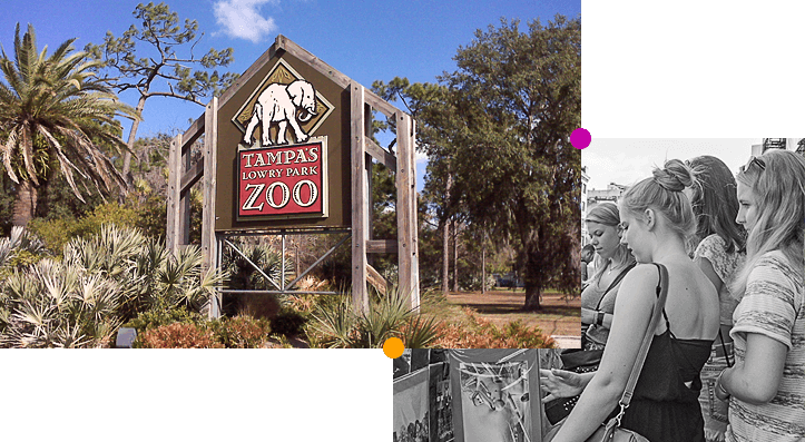 briarwood safari zoo